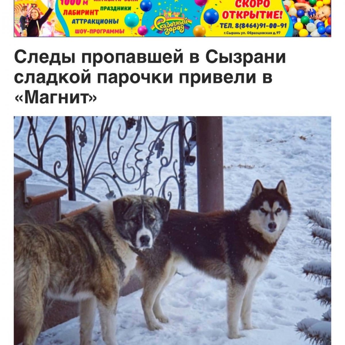 Среднеазиатская овчарка алабай