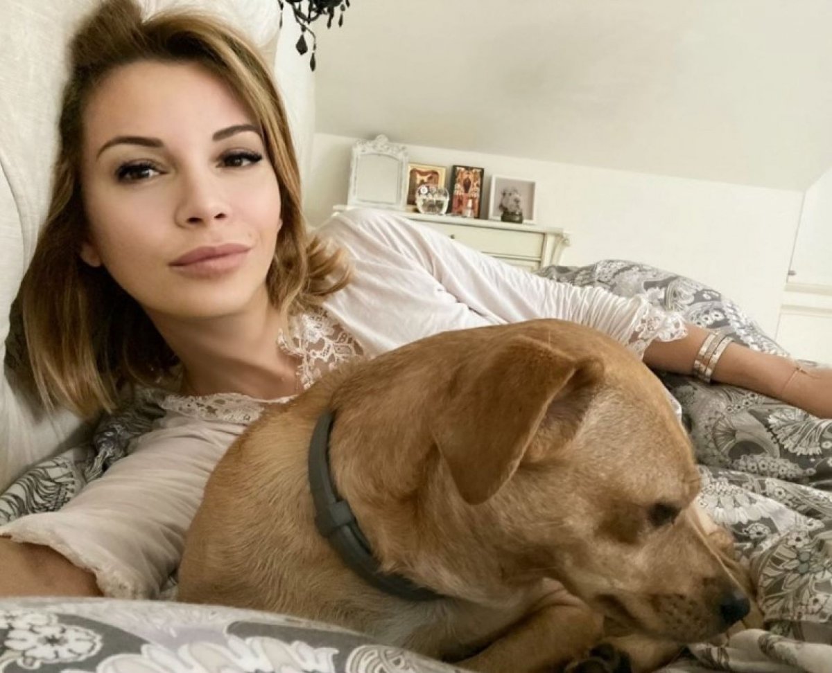 Собаки Ольги Орловой