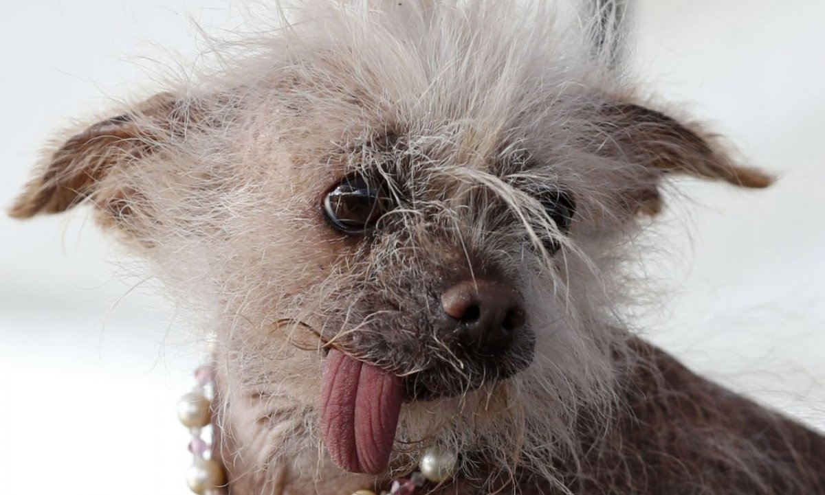 Собчак страшная