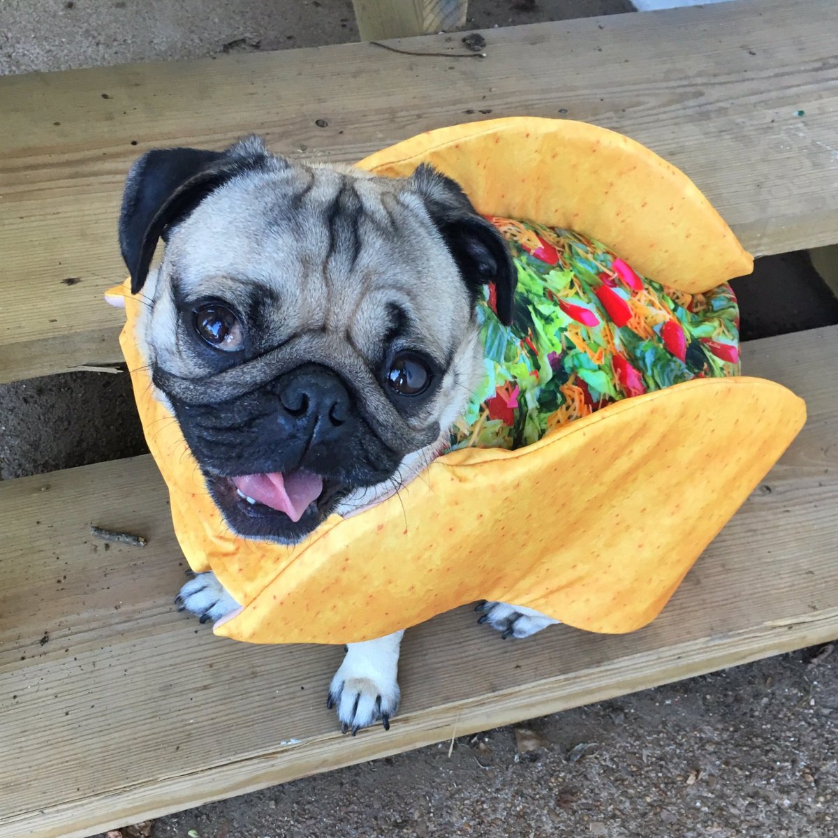 Джинсы момсы