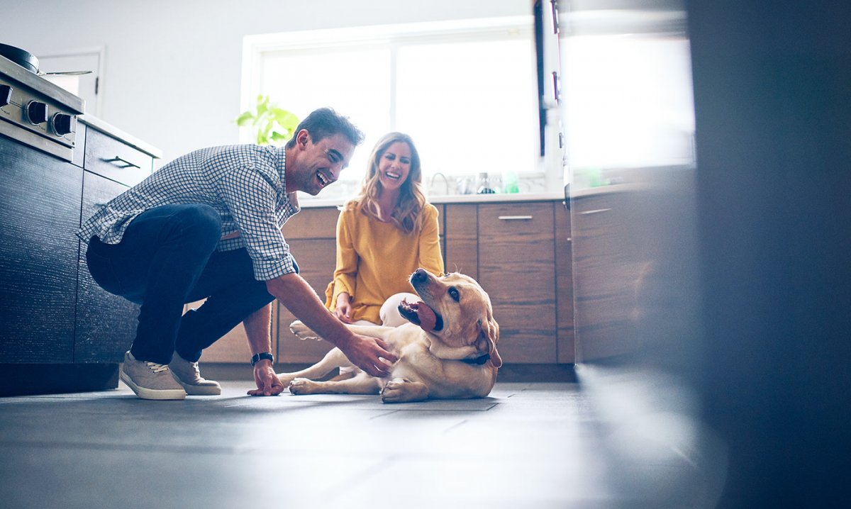 Фотограф анималист