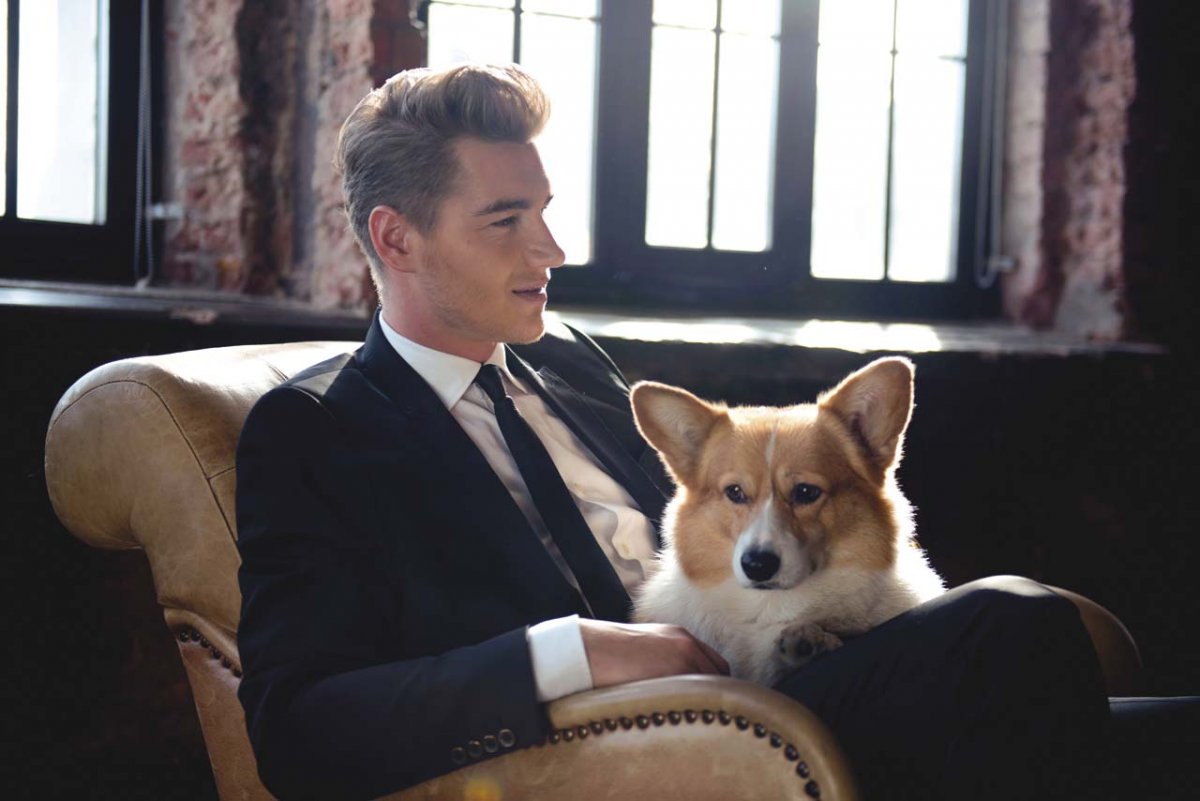 Овчарка терьер