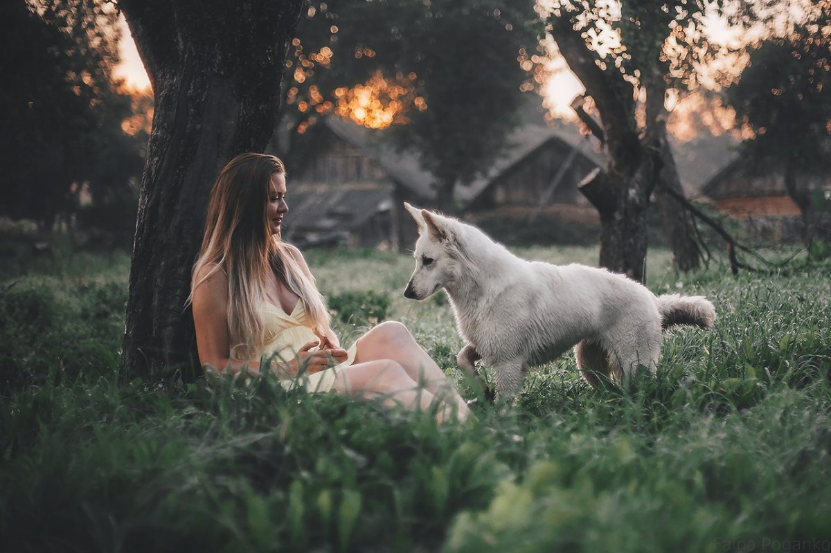 Макс и лёша в сериале пёс