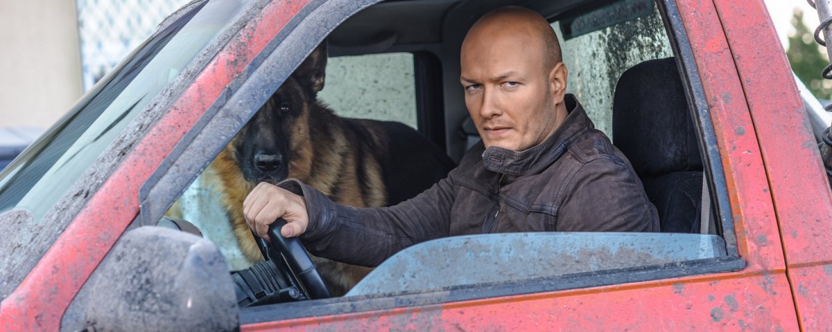 Сериал пёс Никита Понфилов