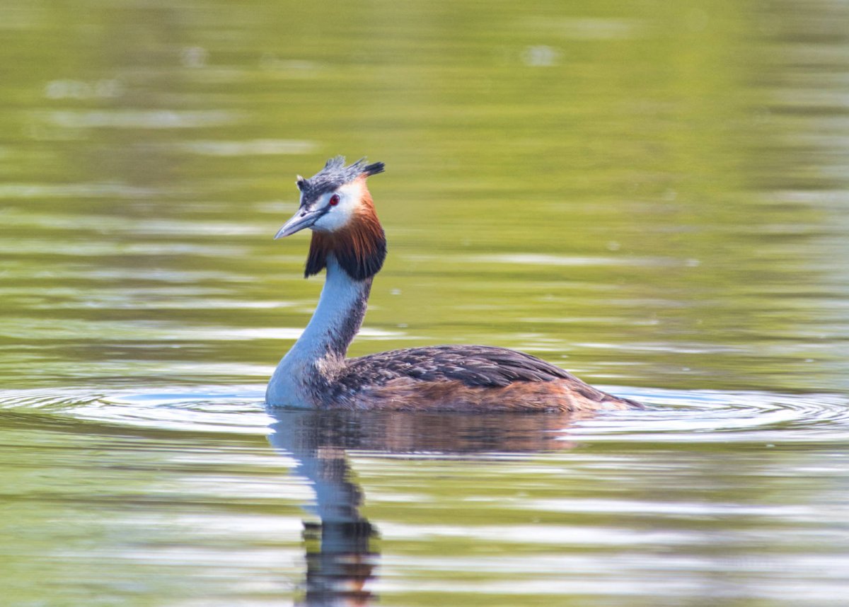 Дмитрий Вилюнов фотограф