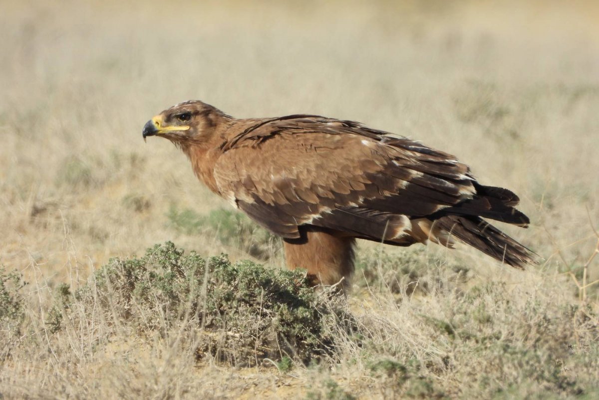 Орёл места для съёмок