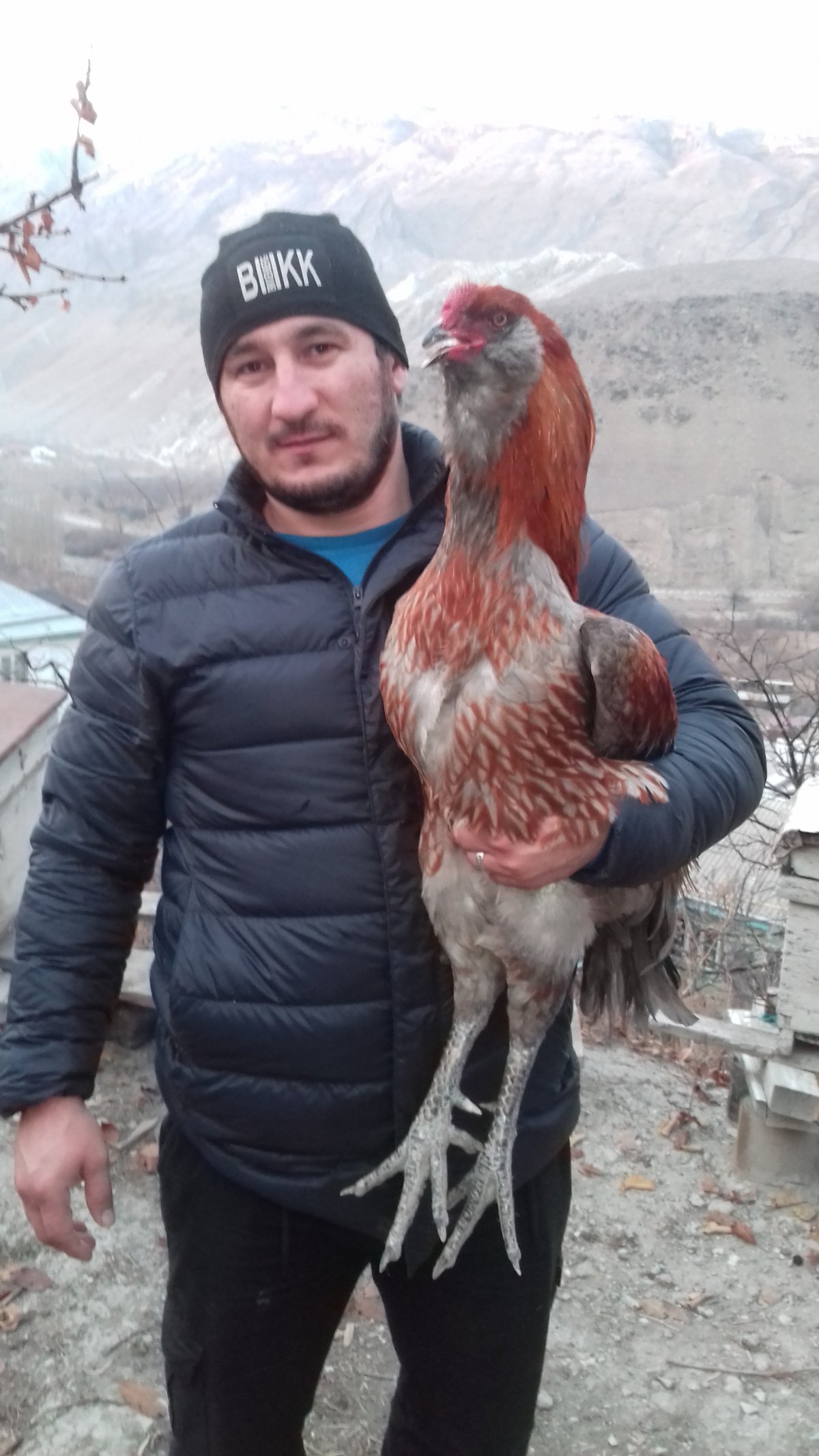 Выставка кур 2021 от частных заводчиков