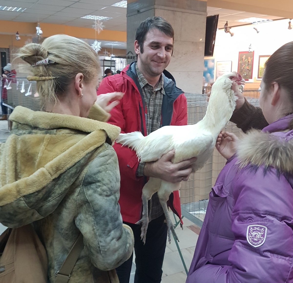 Гергебильский петух