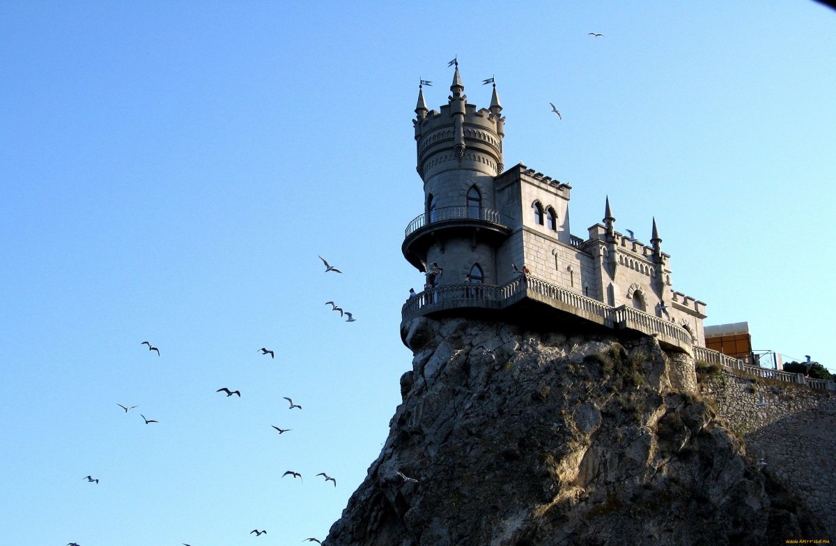 Гнездо для птиц.