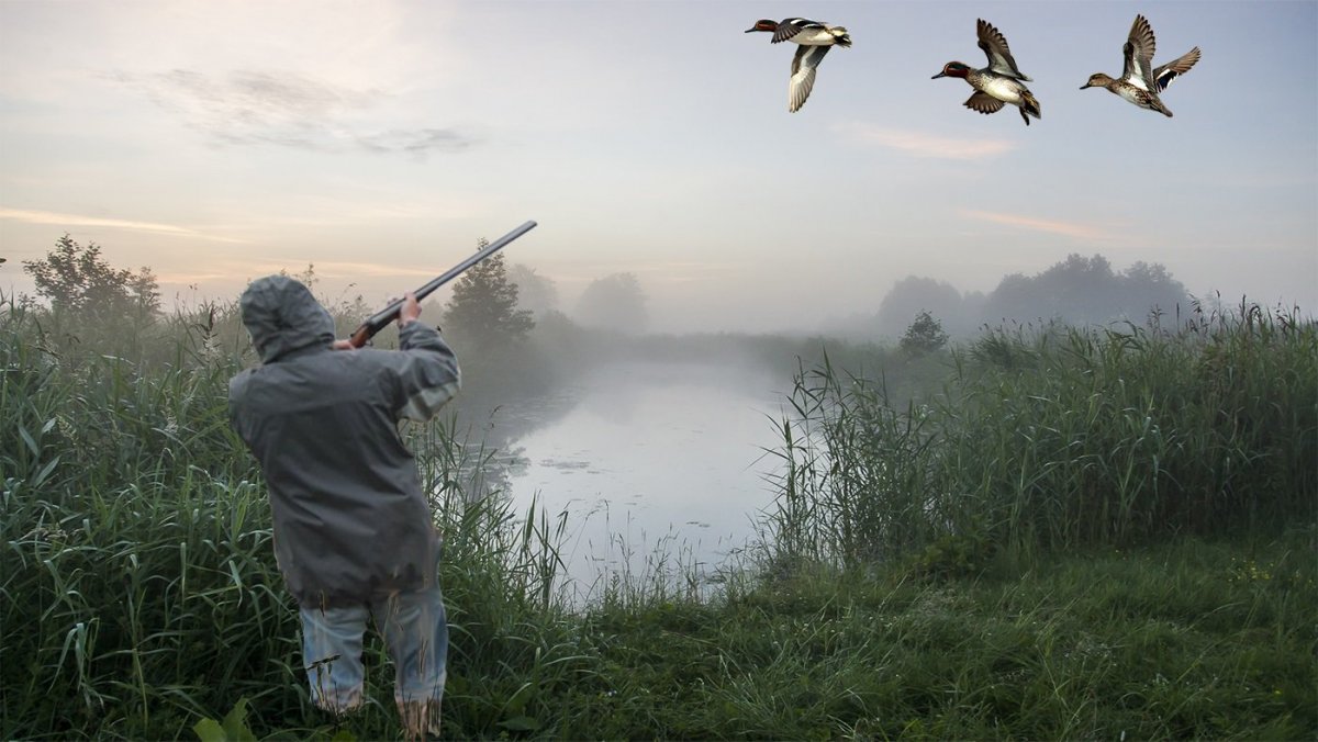 Охотник на уток