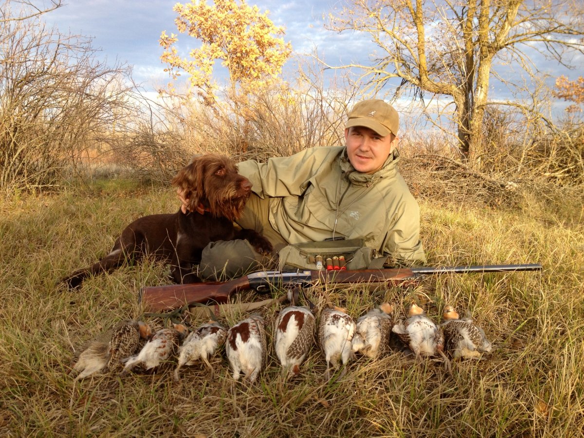 Птицы на реке Оби