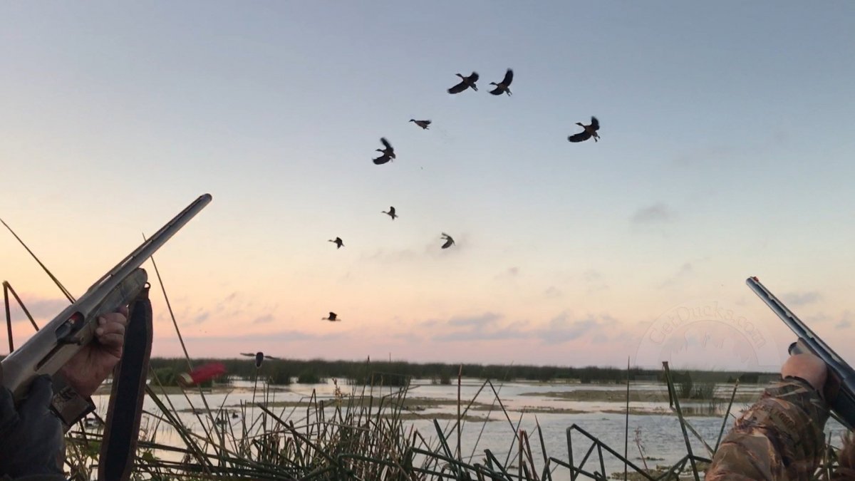 Охота на уток