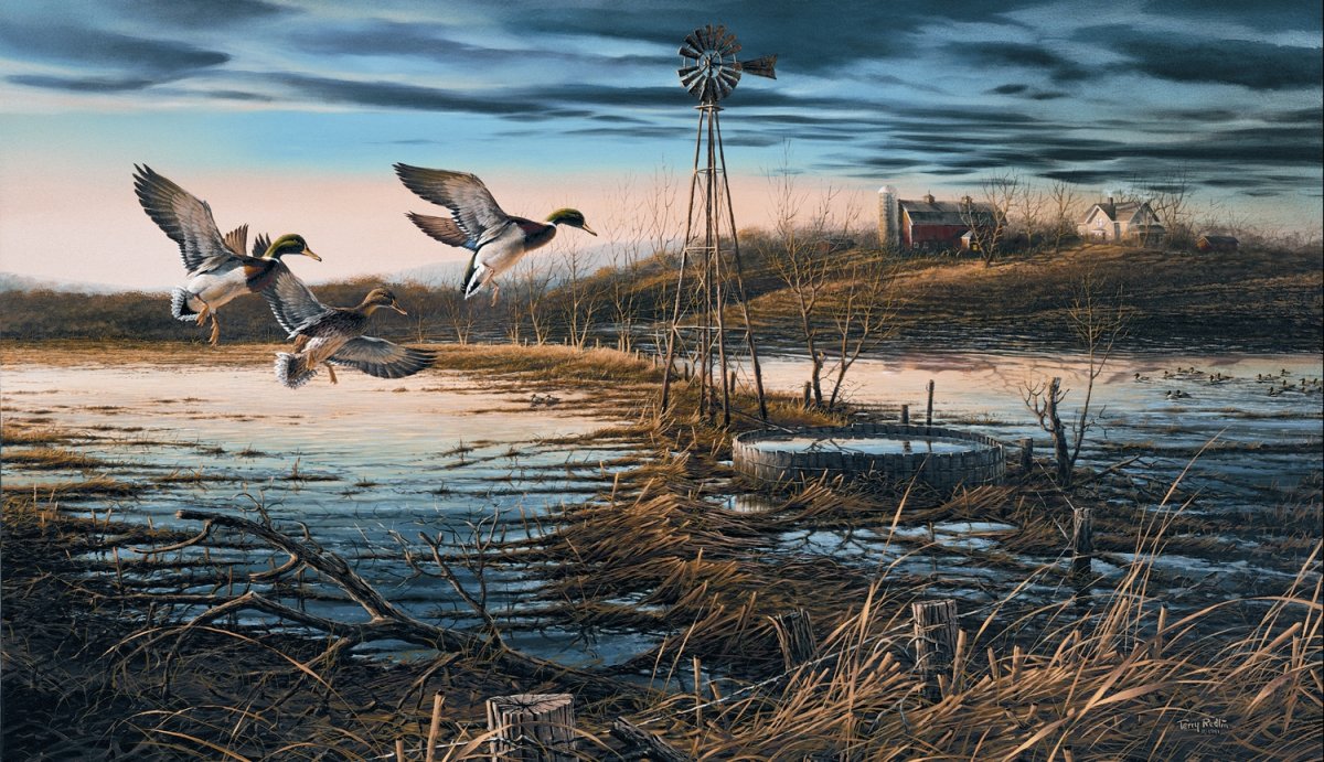 Весенняя охота на пернатую дичь