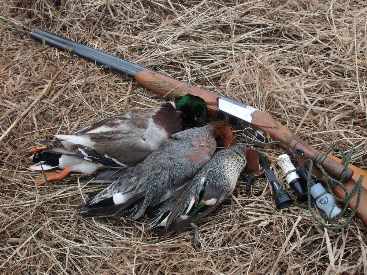 Охотник на уток