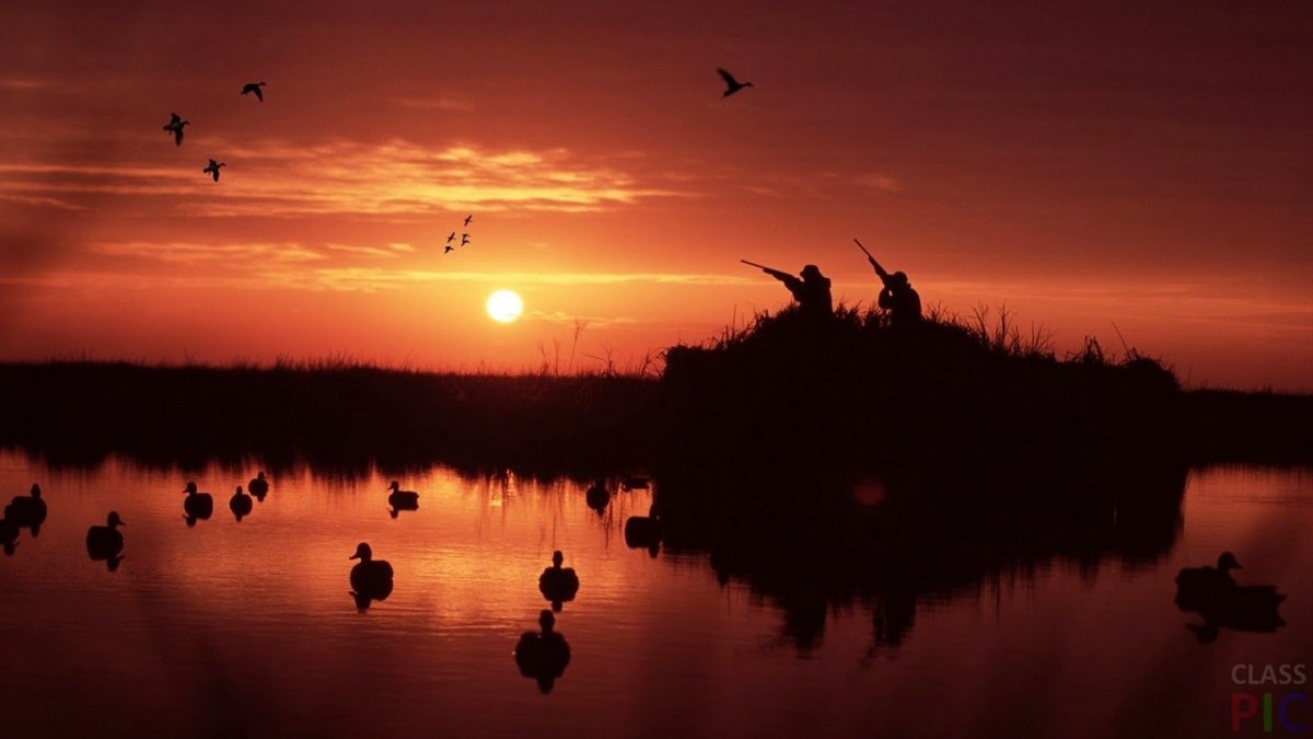 Фон охота на уток