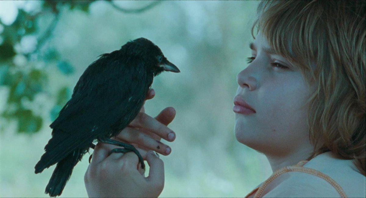 Горбатые птицы птица