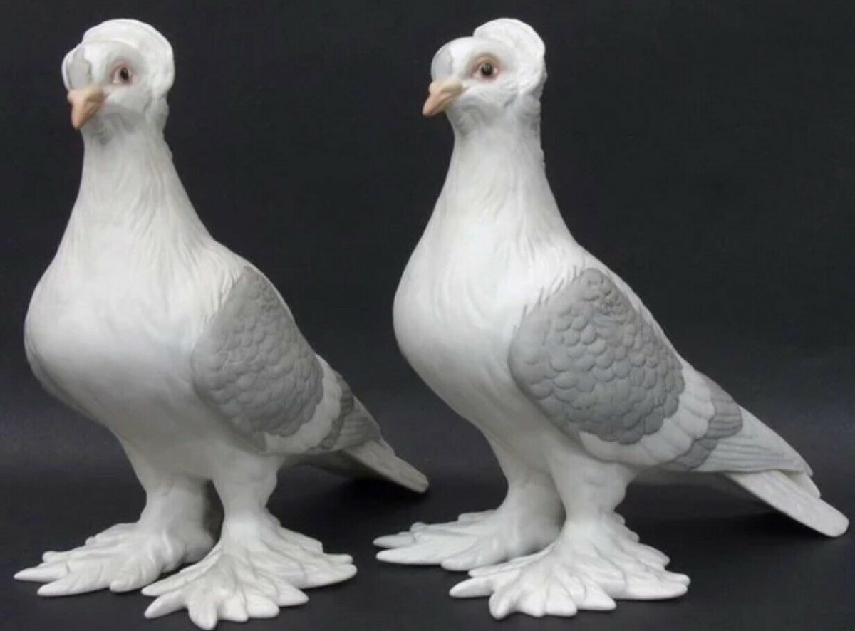 Голуби высоколетные бескружные крымские