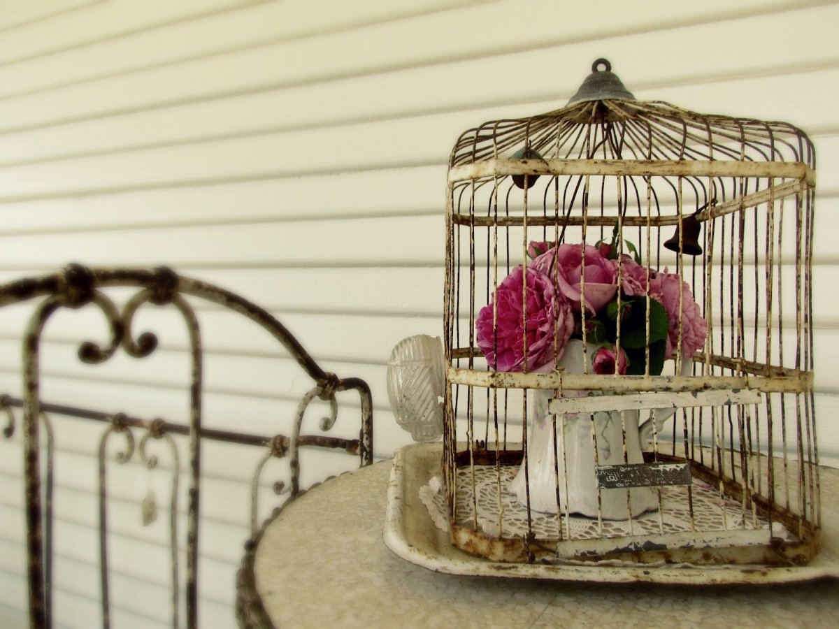 Птица в клетке