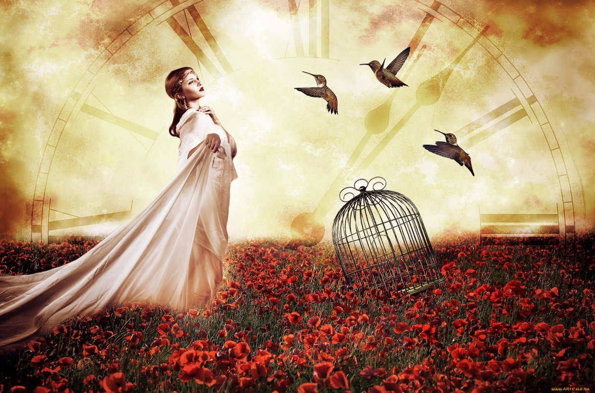 Птицы из души