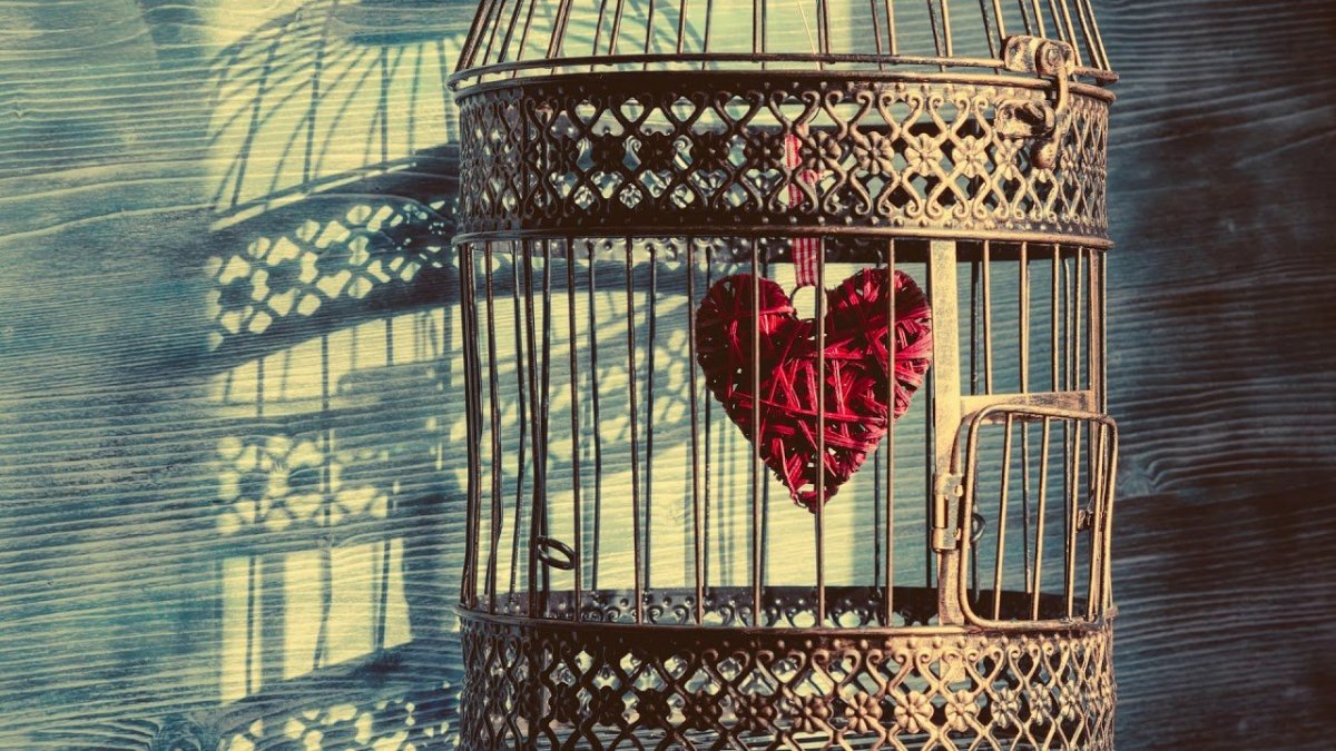 Сердце в клетке