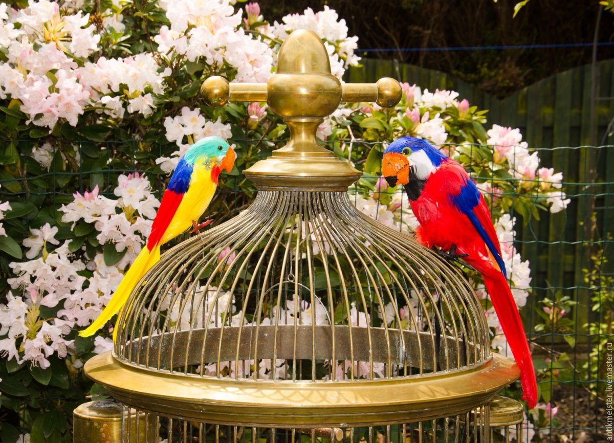 Золотая клетка для птиц