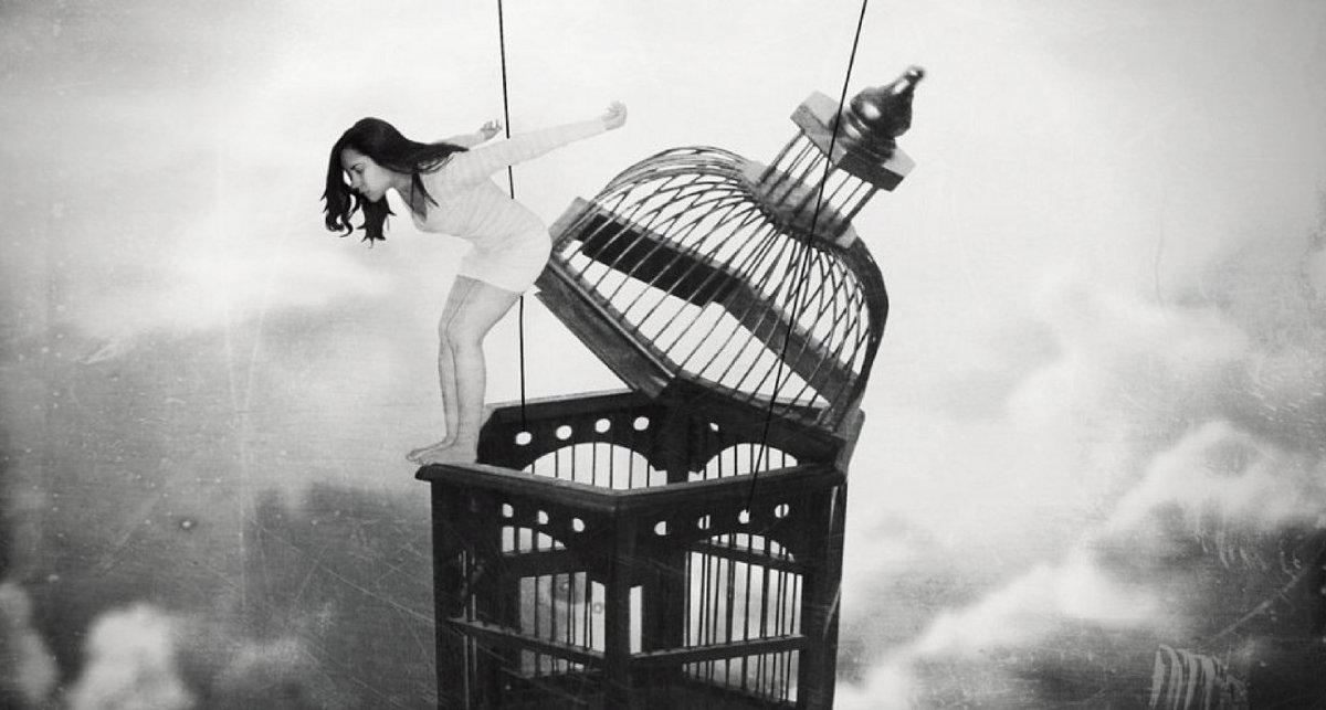 Птица вырвалась из клетки