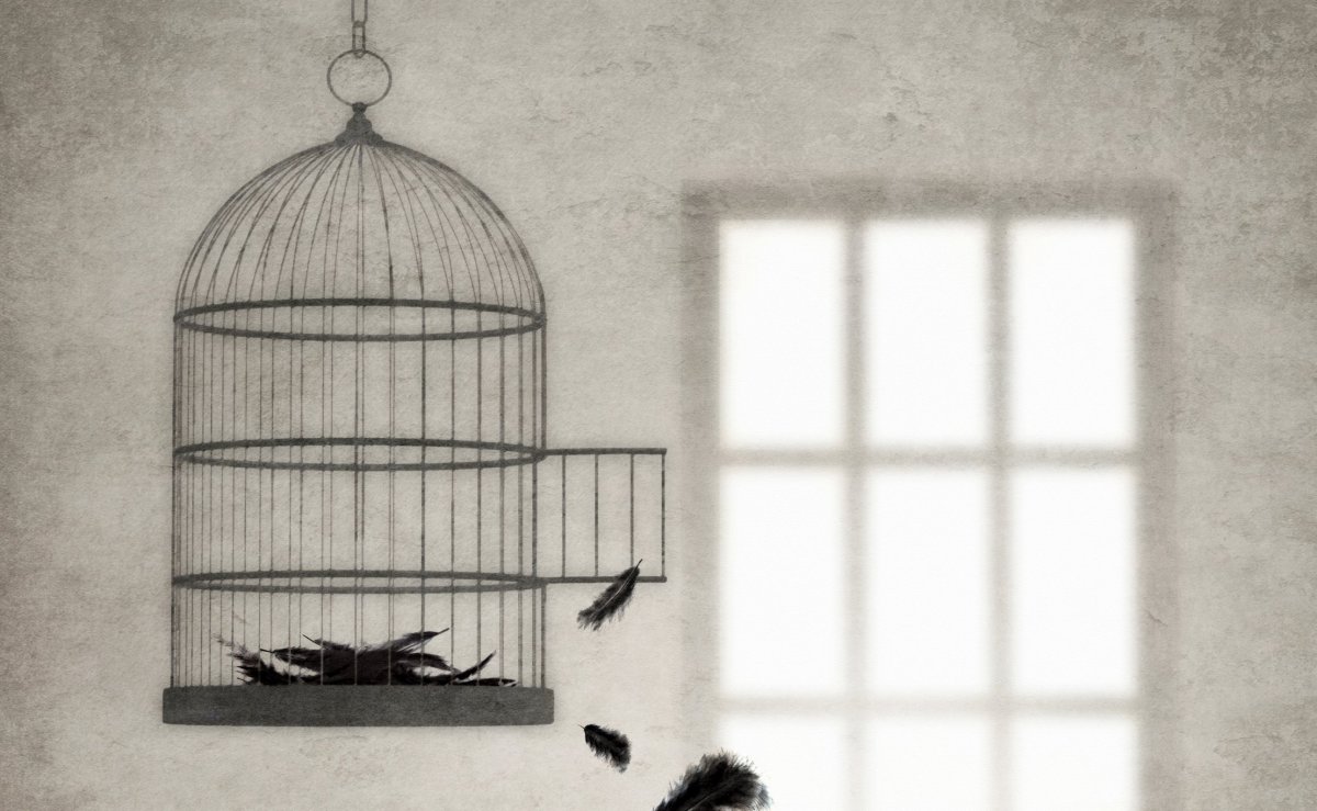 Птица в клетке