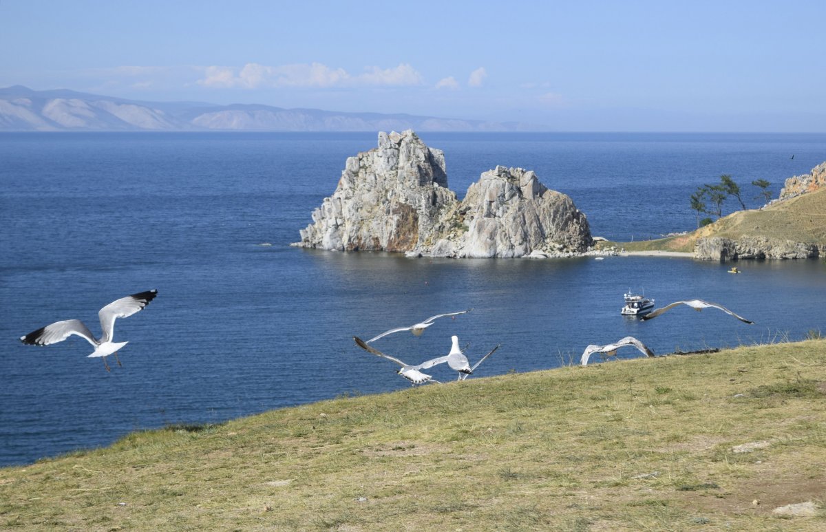 Ольхон остров чаек