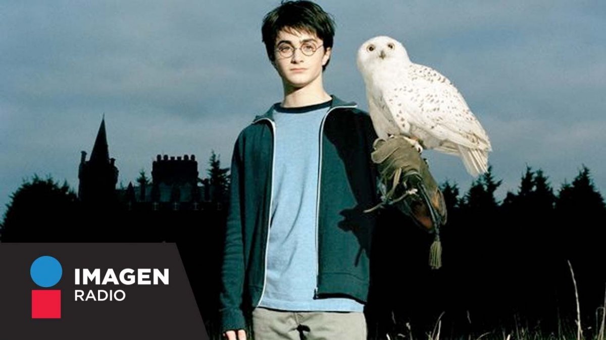 Сова Хедвиг из Гарри Поттера