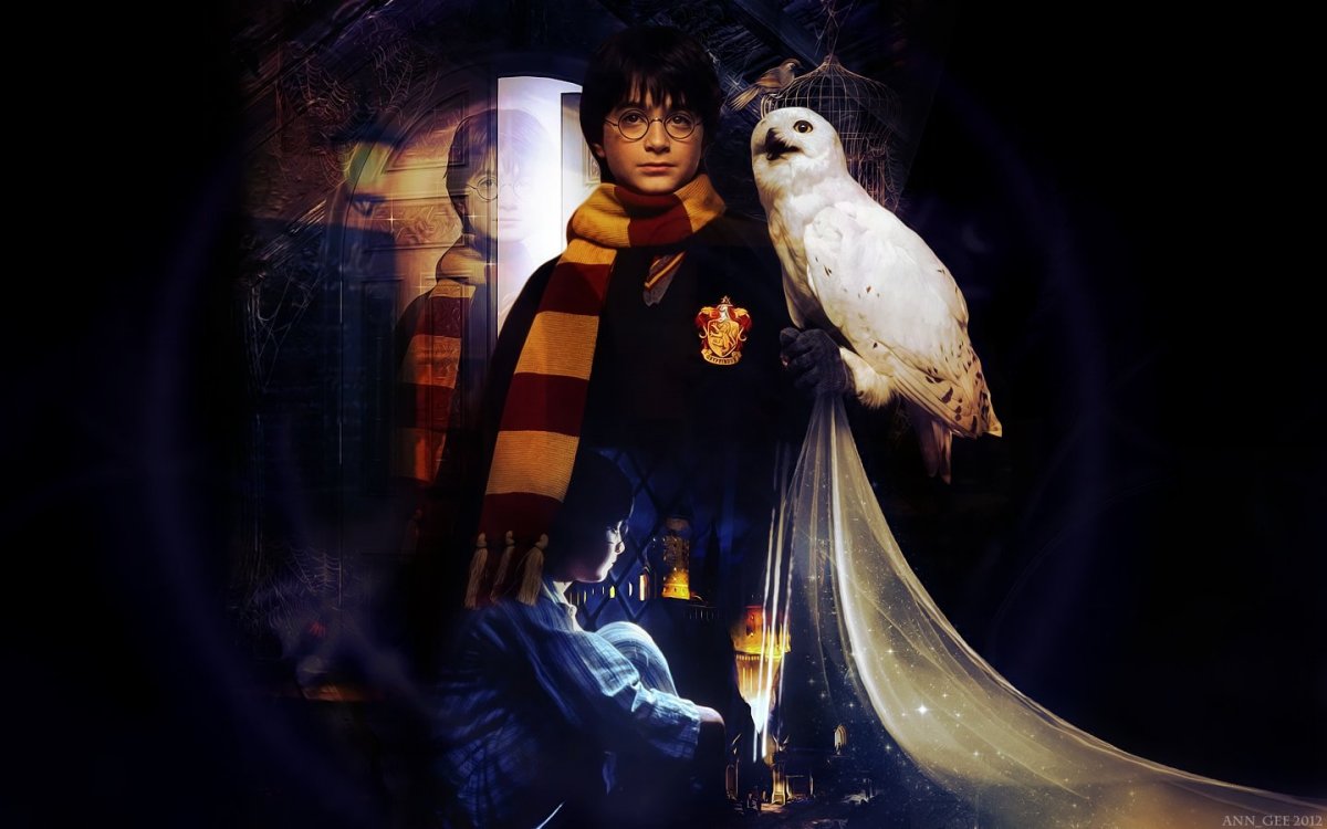 Сова из Гарри Поттера картинки