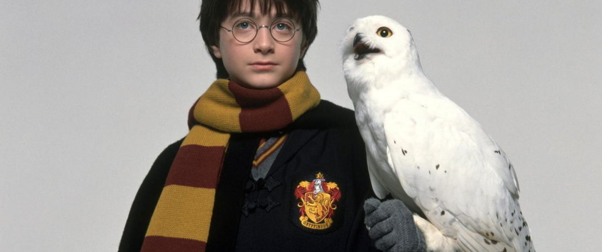Гарри и Хедвига кадры