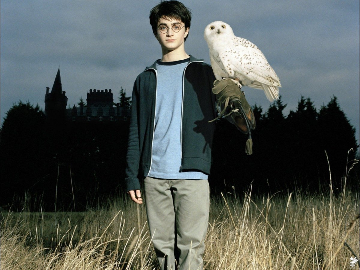 Фигурка Harry Potter: Hedwig Magical creatures