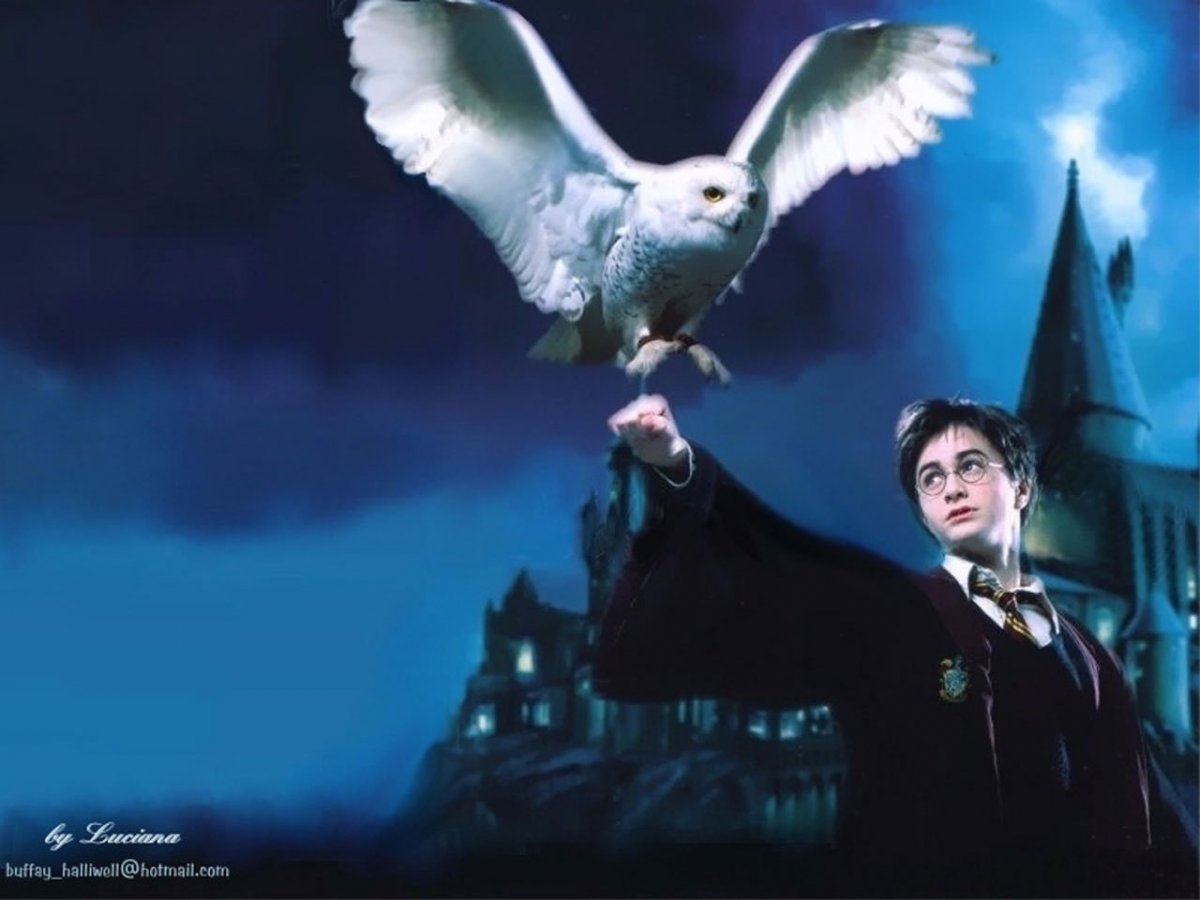 Букля Гарри Поттер