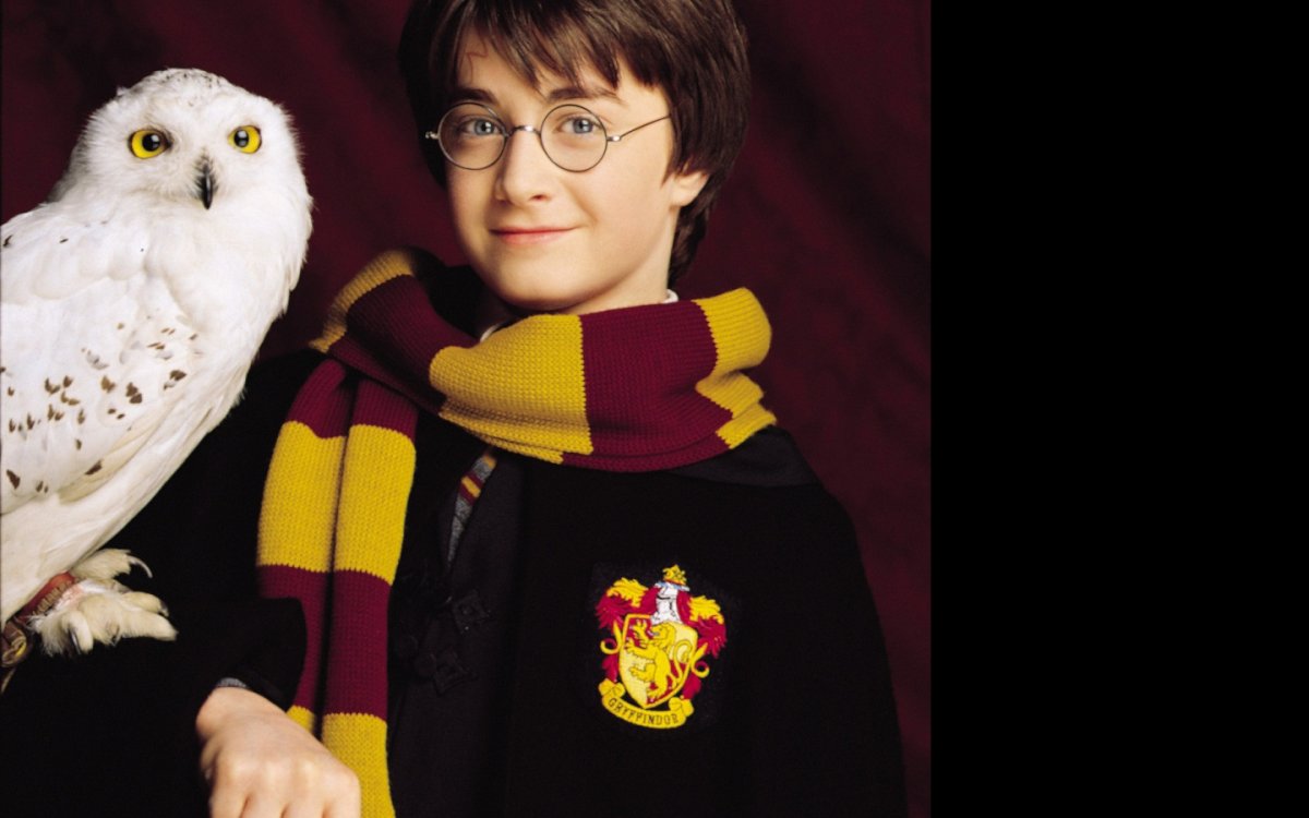 Гарри и Букля