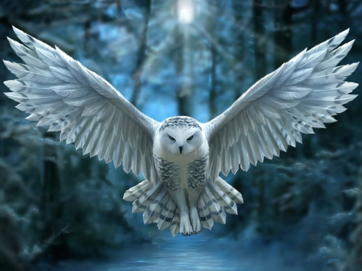 Сова Гарри Поттера Хедвиг