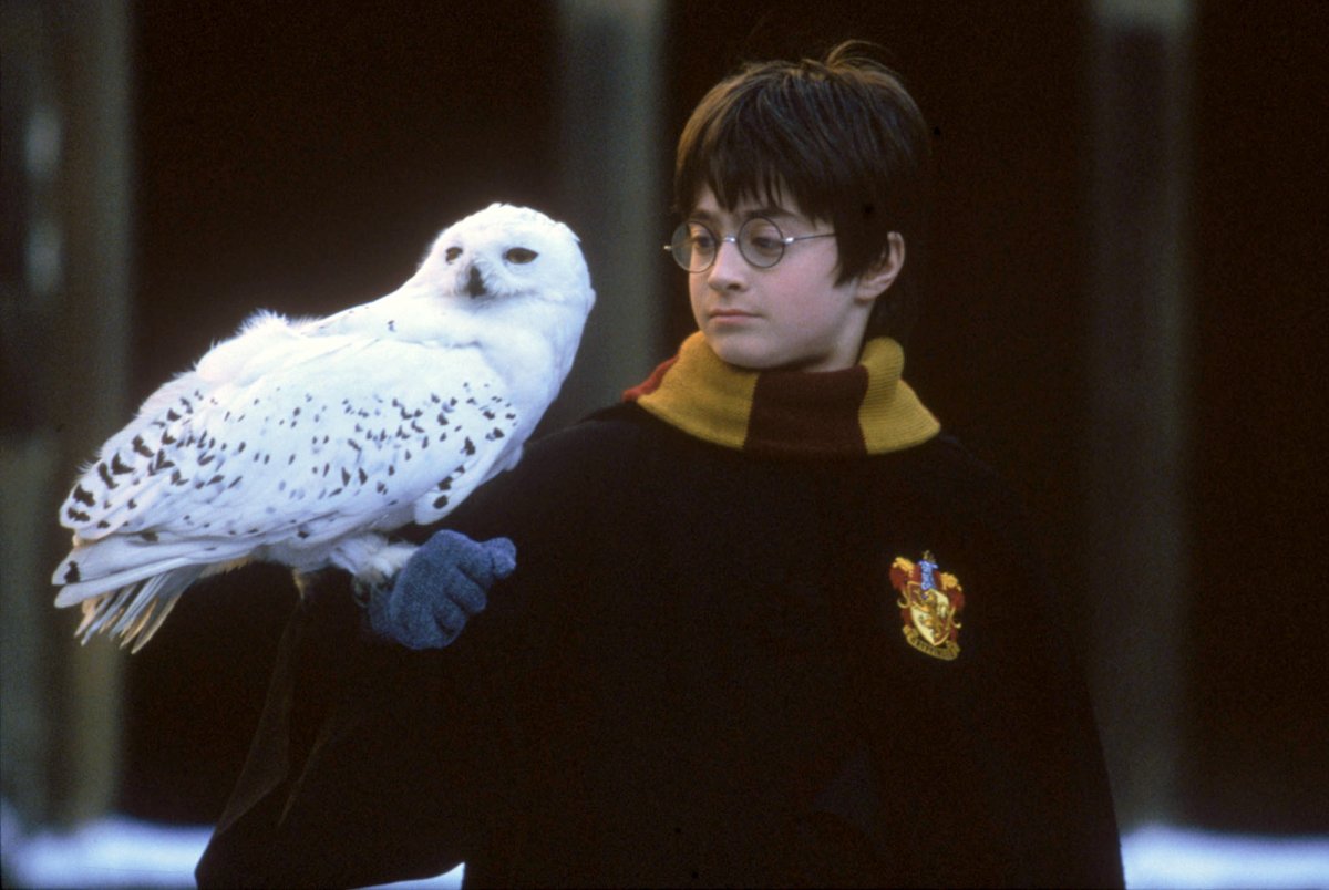 Дэниел Рэдклифф 2001