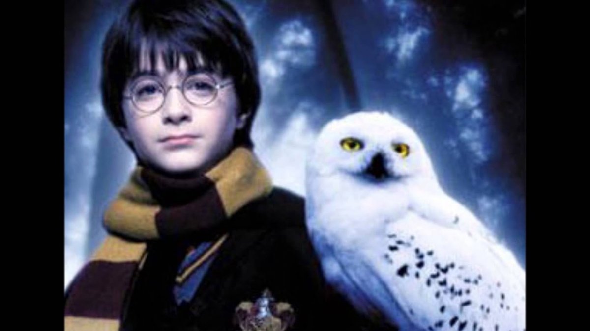 Сова из Гарри Поттера