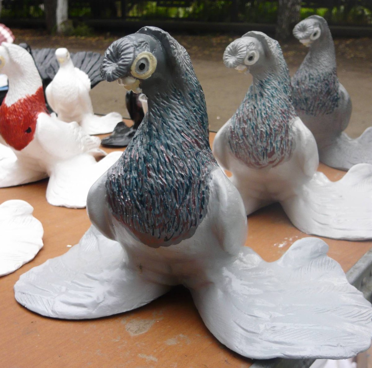 Узбекские декоративные голуби