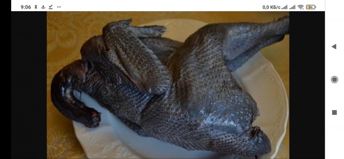 Чёрная китайская курица Ухейилюй