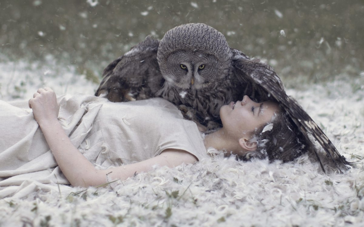 Девушка с совой