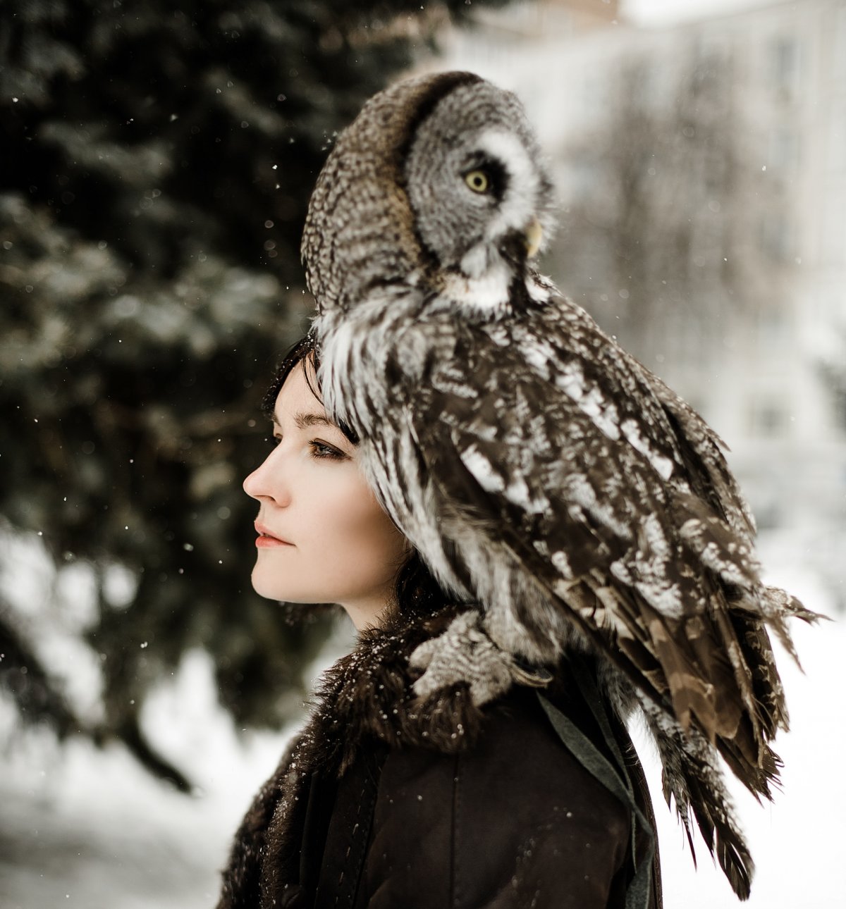 Девушка с совой фотосессия
