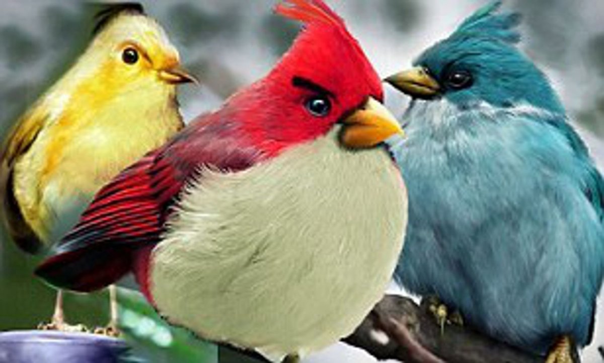Angry Birds Wildberries