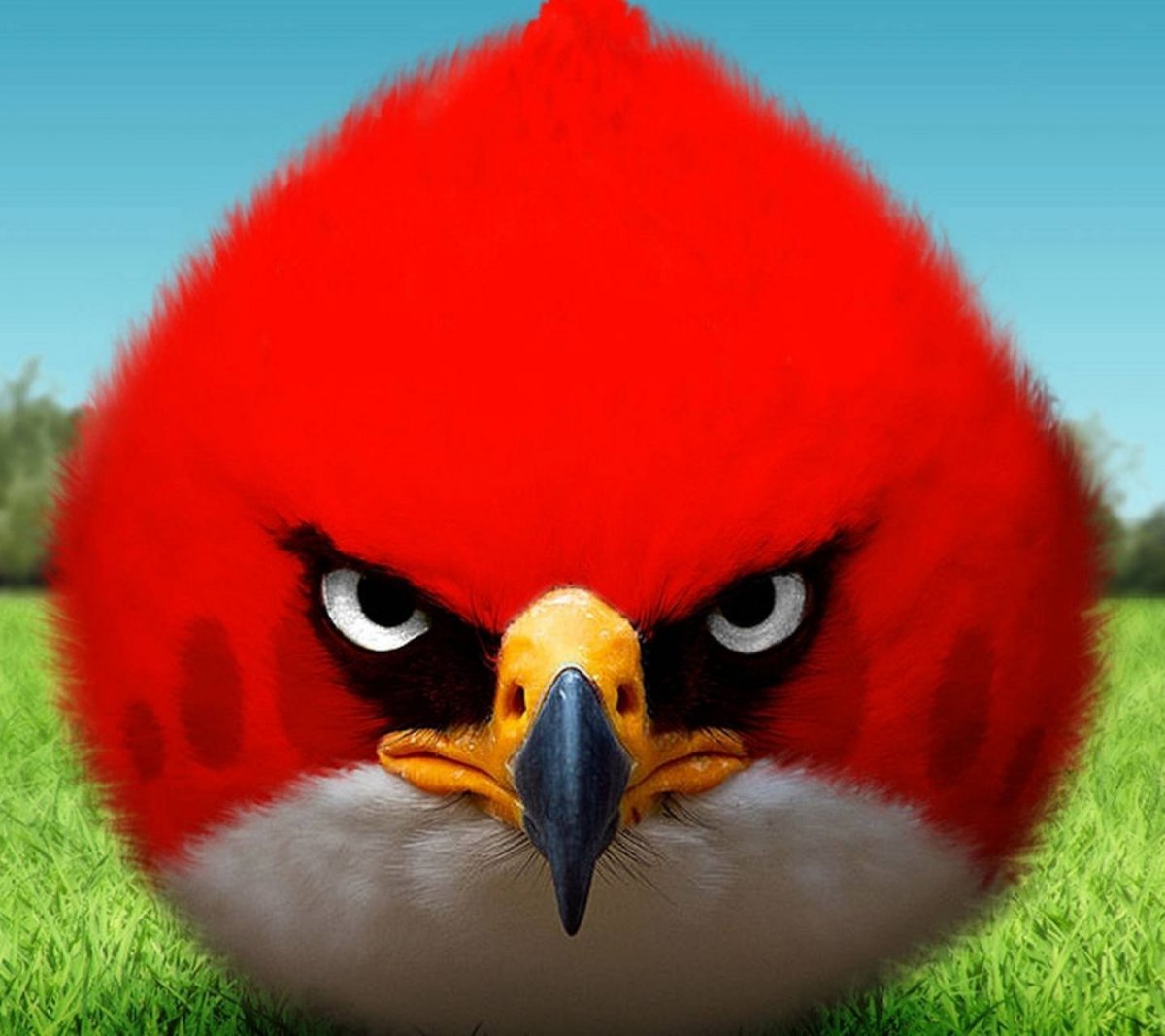 Красная птичка из Angry Birds