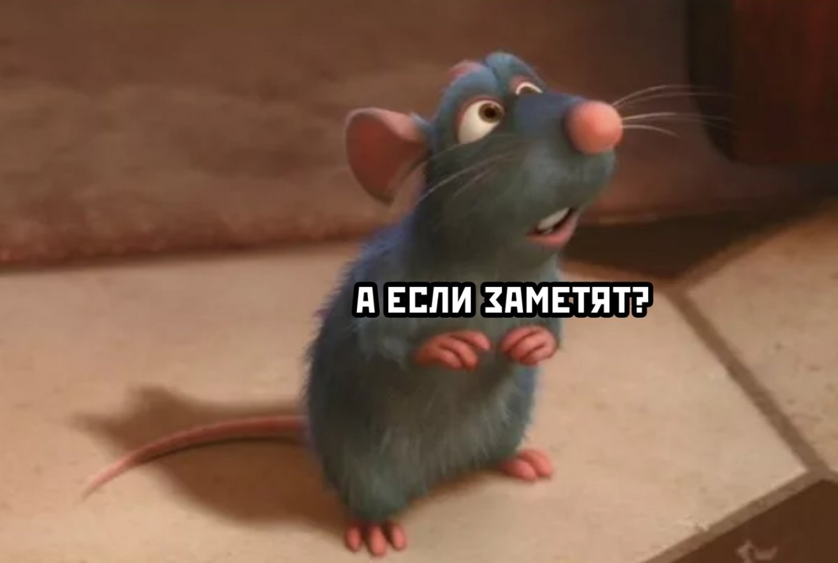 Декоративные крысы