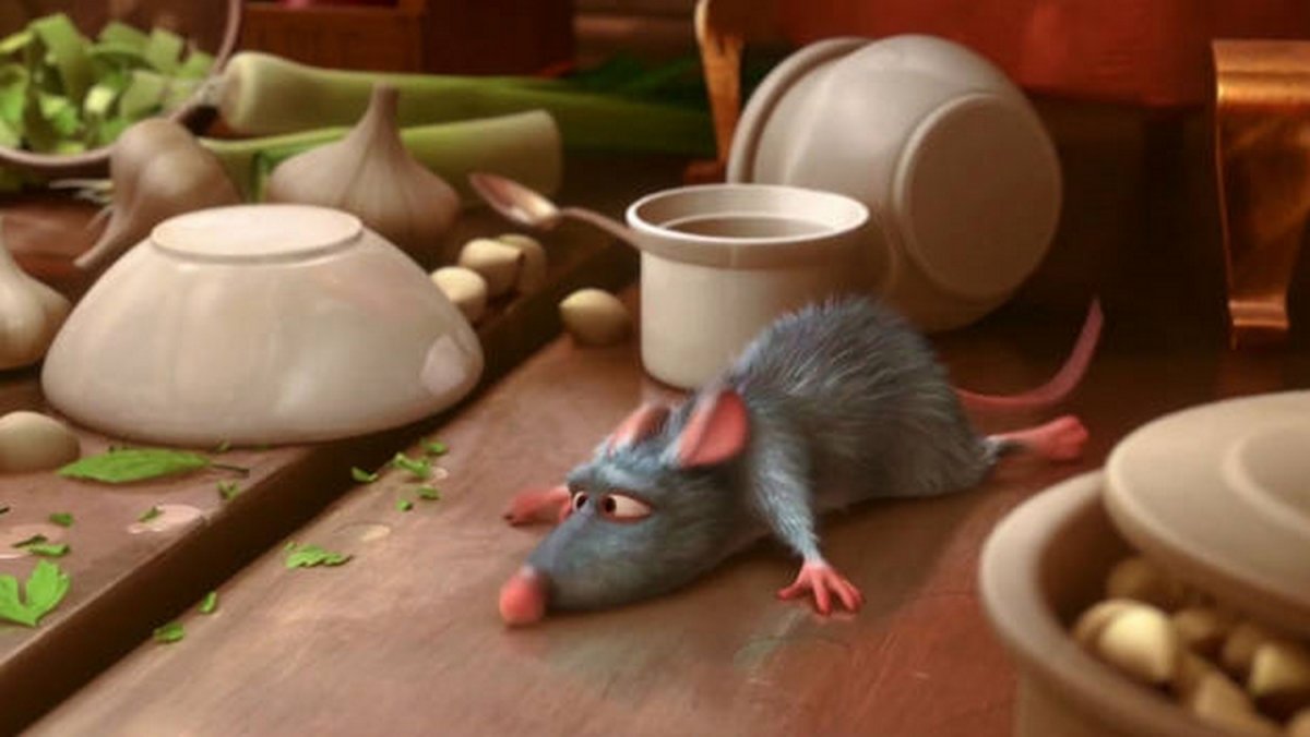 Серая крыса Рататуй