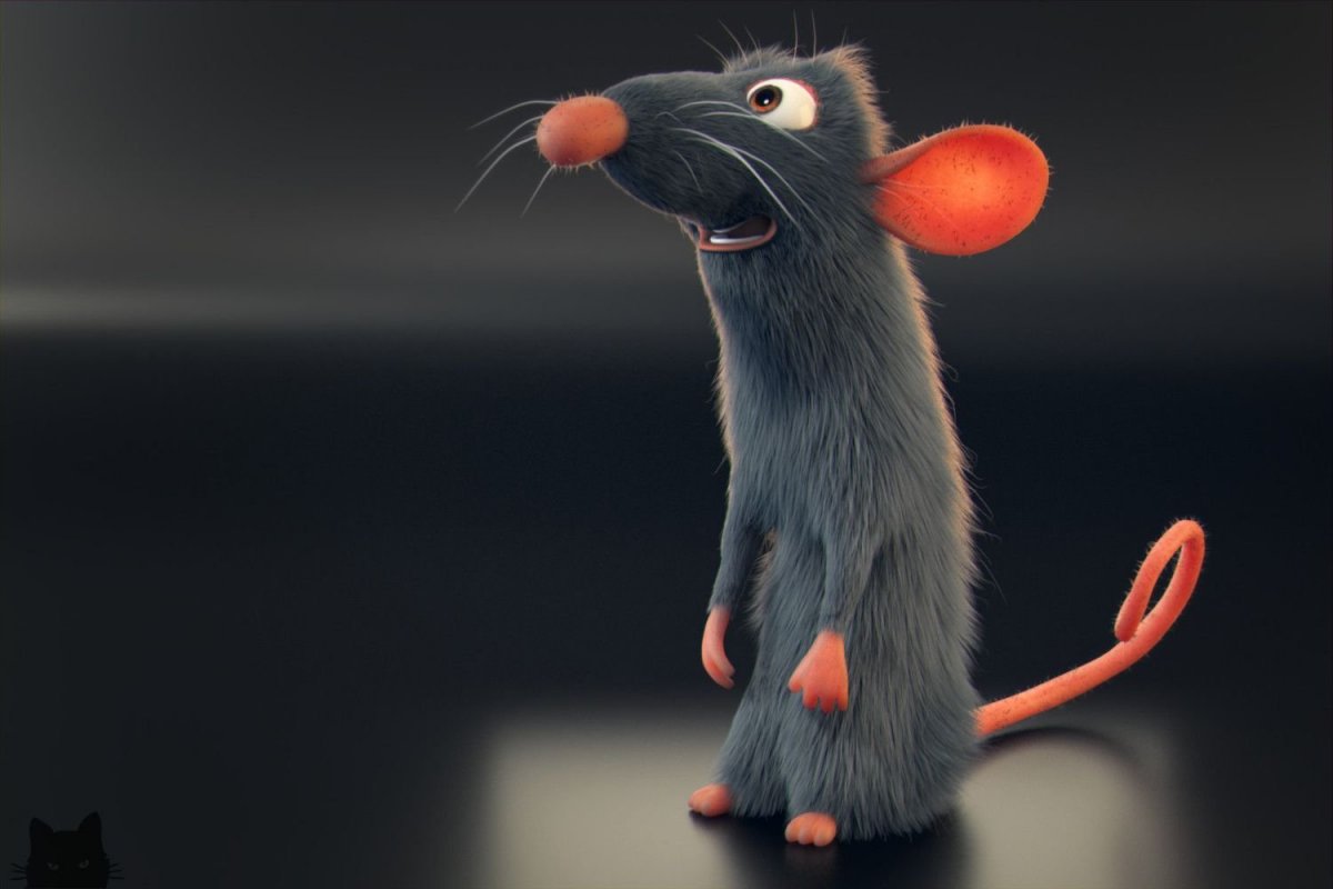 Крысы домашние