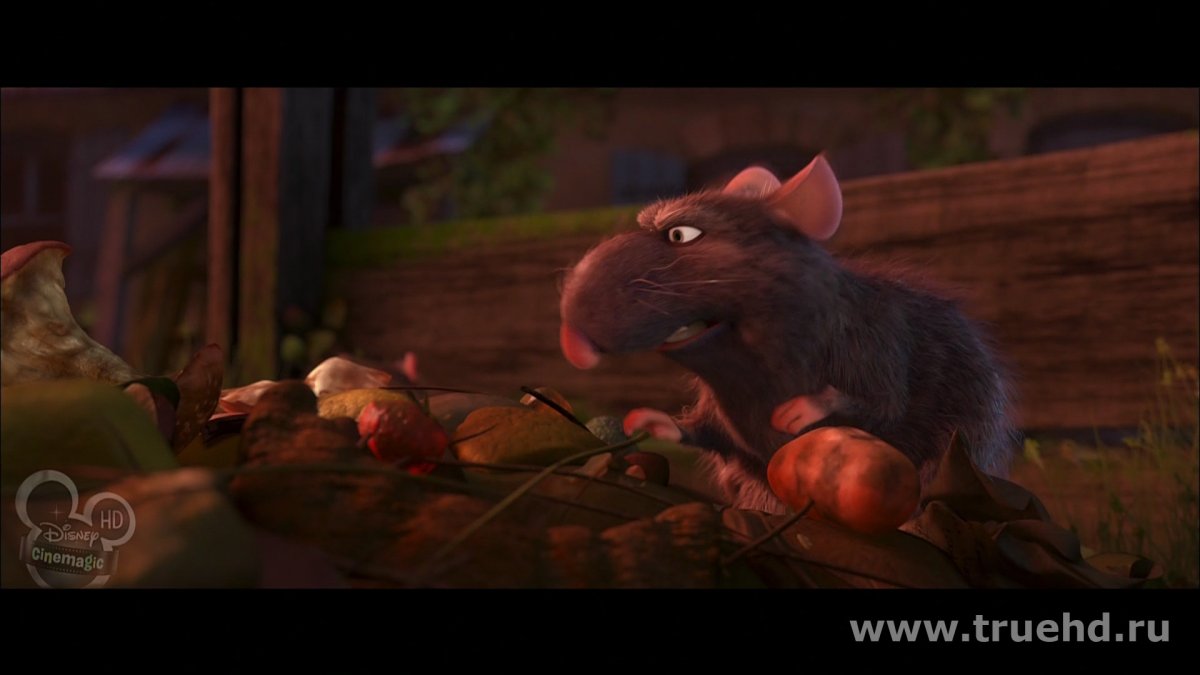 Рататуй мультфильм 2007 Реми