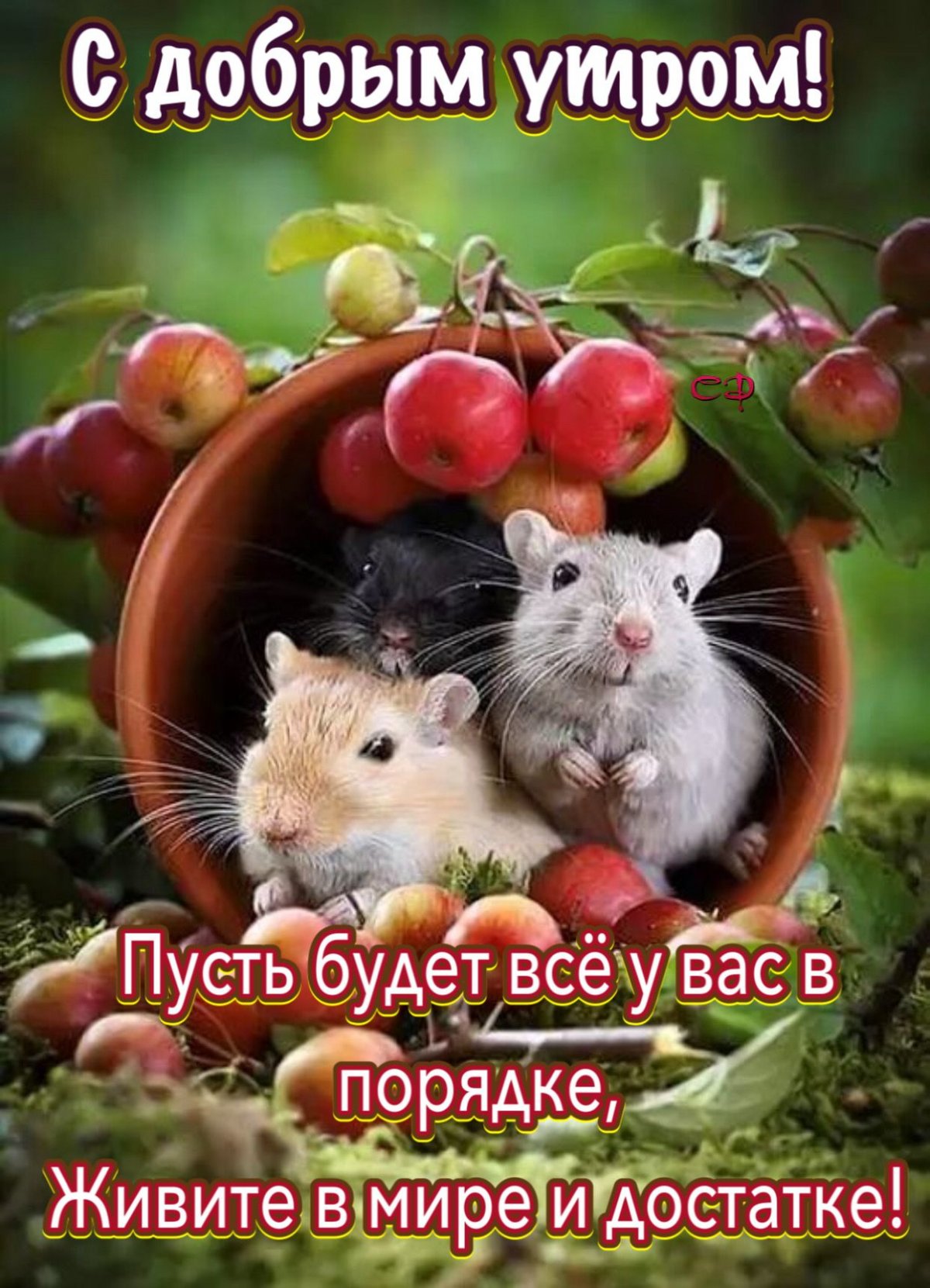 Красивый мышонок