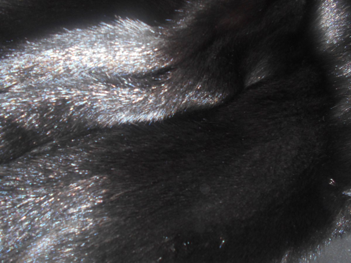 Следы моли на норковой шубе