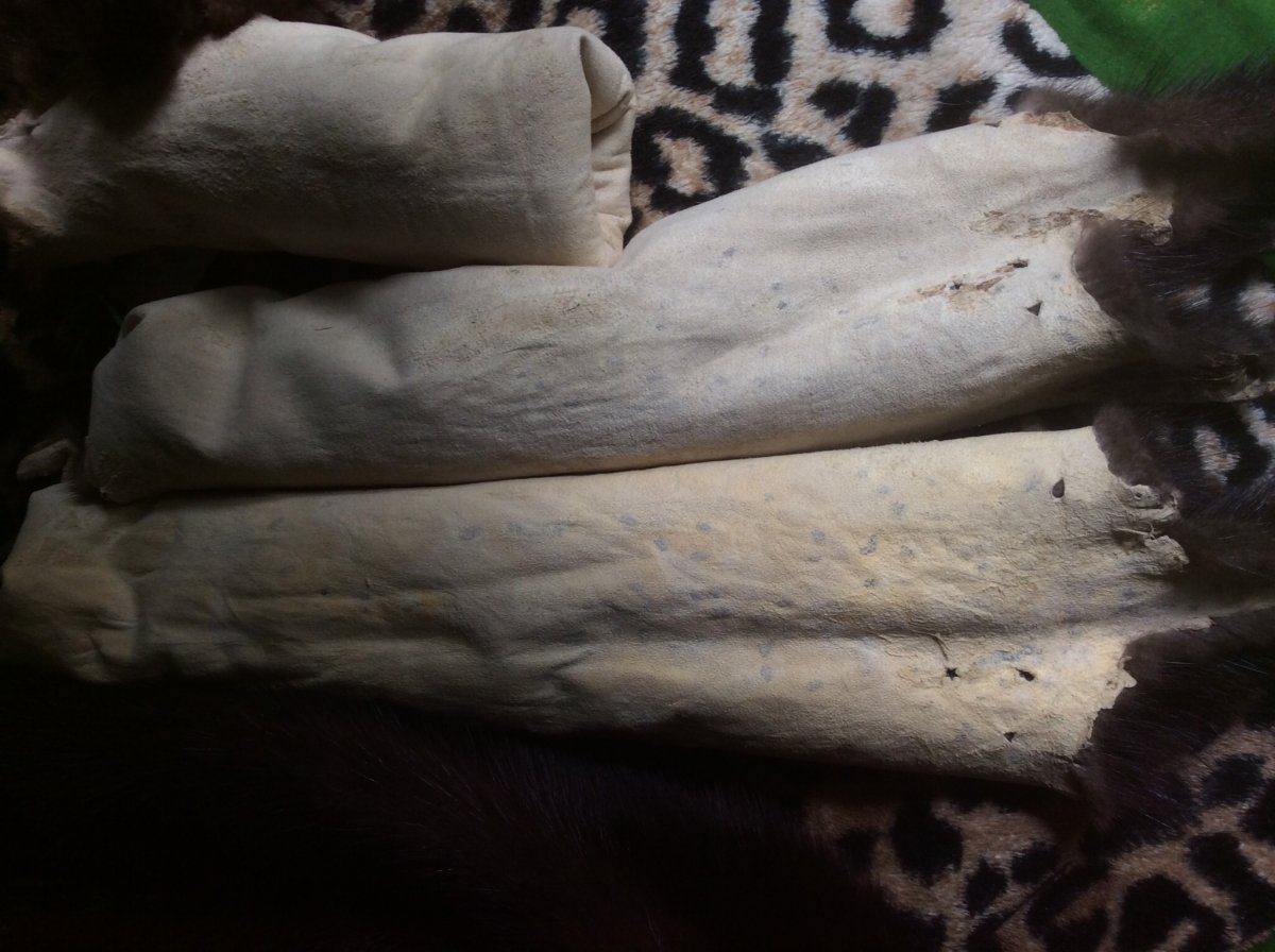 Канадская норка Мездра